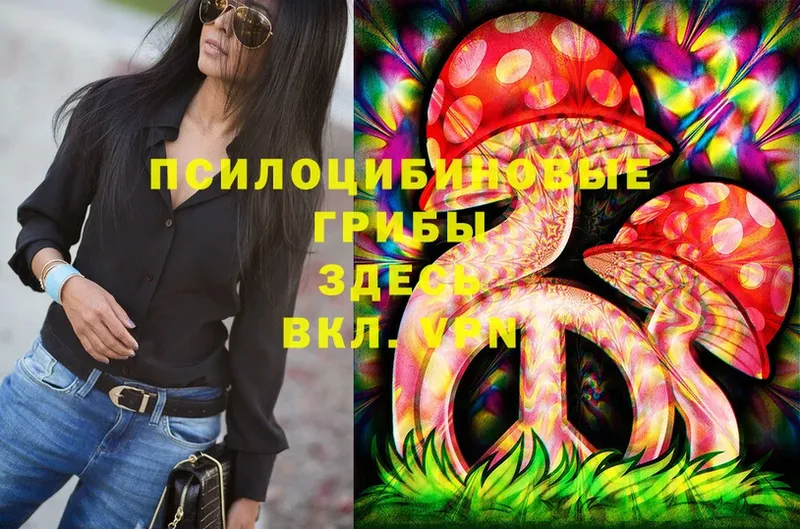 что такое   Никольское  площадка телеграм  Галлюциногенные грибы Psilocybine cubensis 